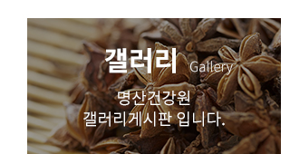 갤러리